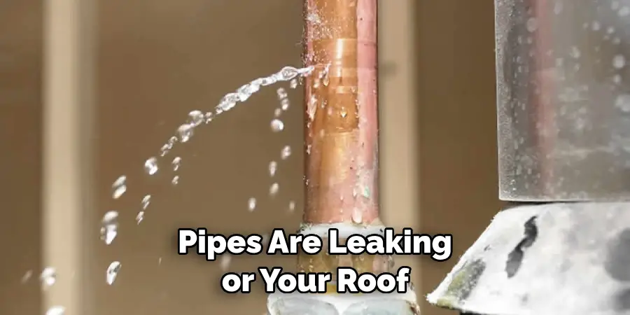 Pipes Are Leaking or Your Roof 