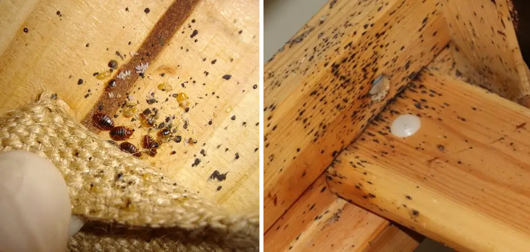 How to Get Bed Bugs Out of Wood Furniture 5 Easy Guides (2024)