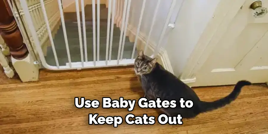 How To Keep Cat Out Of Bassinet 6 Useful Steps 2024