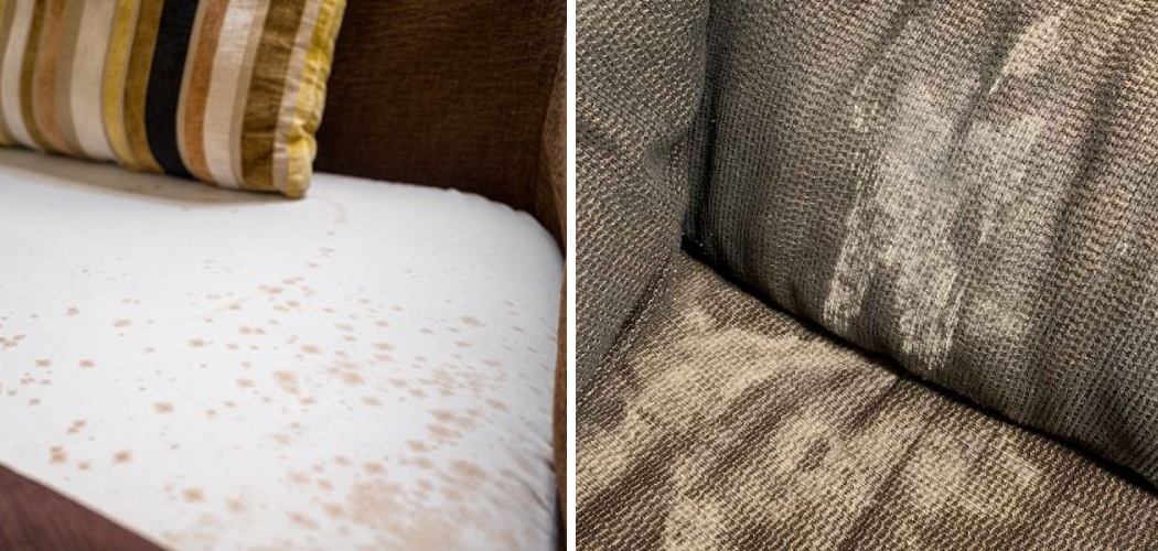 how-to-remove-mold-from-fabric-furniture-10-easy-steps-2024