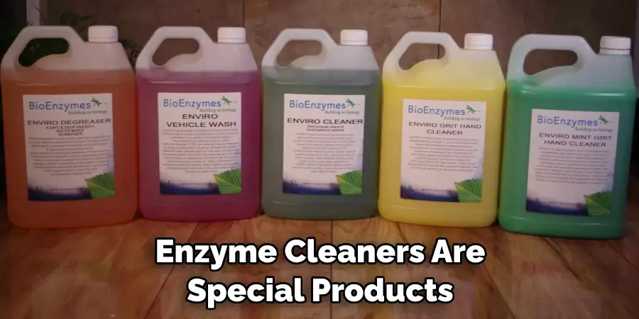Enzyme Cleaners Are Special Products