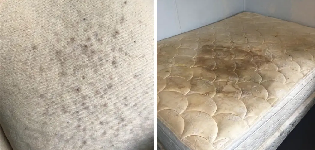 how-to-remove-mold-from-mattress-11-easy-guidelines-2024