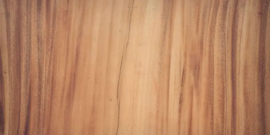 How to Replace Veneer | 9 Effective Ways (2025)