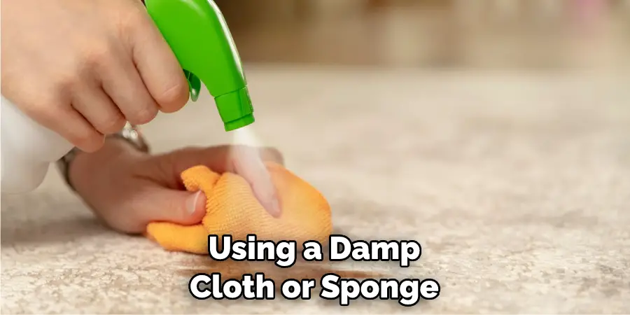 Using a Damp Cloth or Sponge